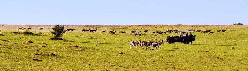 Sidbury Kwantu Private Game Reserve מראה חיצוני תמונה